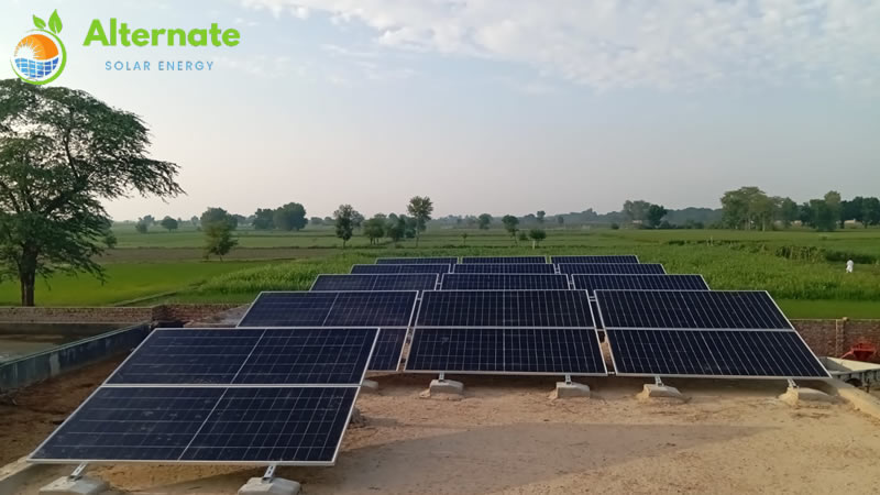 fields of corps solar energy system in agriculture