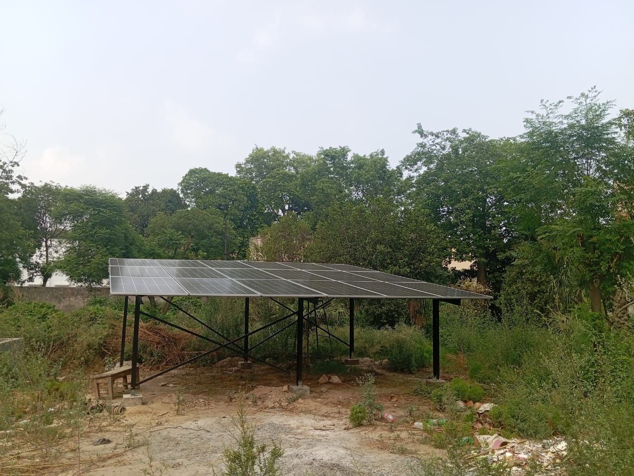 Trees and Solar Panel system in agriculture